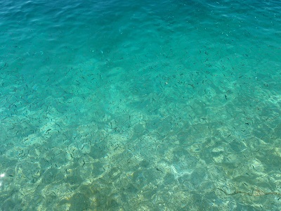P5088516.JPG