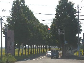 DCIM2475-350.jpg