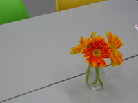 P1020643