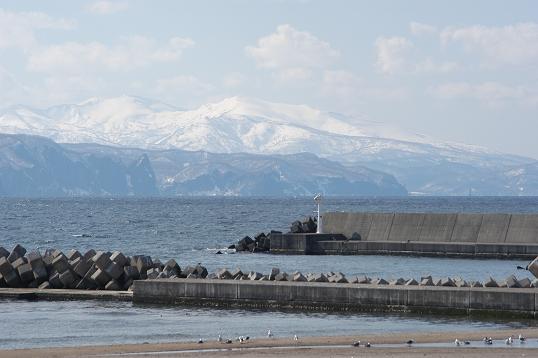 DSC_00691.jpg