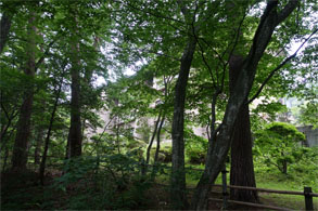 佳松園170.jpg