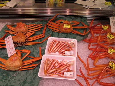 IMG_1267.jpg
