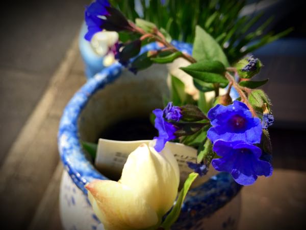 rblog-20150331200002-00.jpg