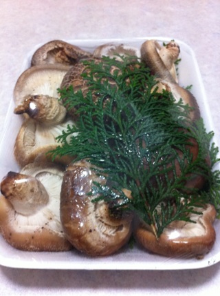 shiitake.jpg