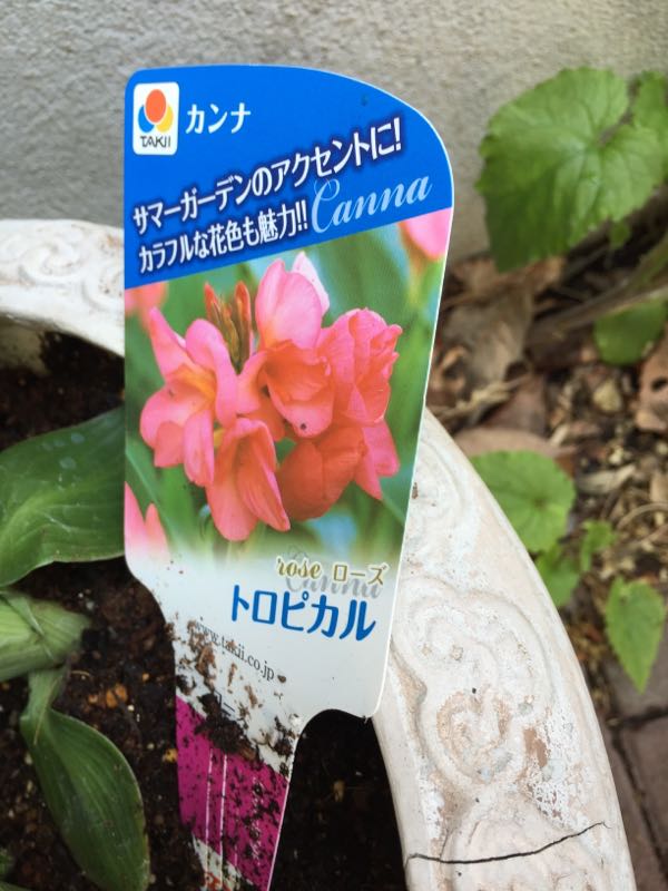 rblog-20150531143715-03.jpg