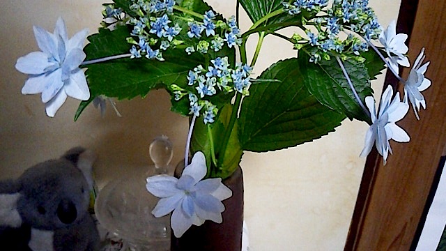 140612_110054.jpg