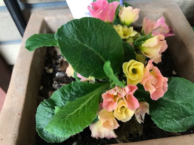 rblog-20190426181355-01.jpg