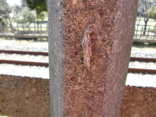 CIMG0139.JPG