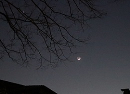 IMG_6358-1.jpg