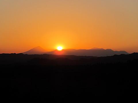 IMG_8896.jpg