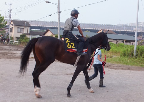 楽天競馬