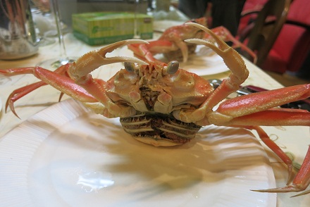 IMG_8667.jpg
