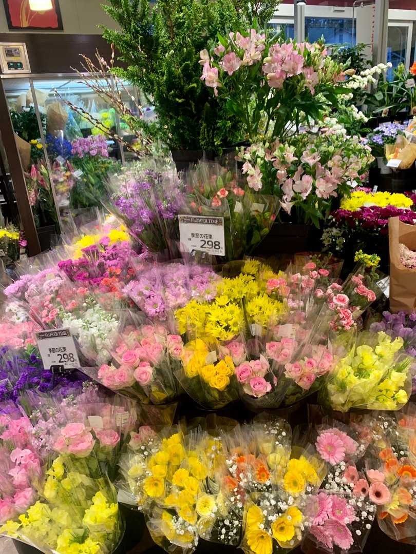 ダイエット食事日記２１６１日目 ダイエット1112日目 ドラマ ここは今から倫理です でキルケゴールの名言 不安は自由の目眩だ 卓球ショップiruiruで卓球練習 カインズホームで花苗を購入 一口茶屋で小倉 クリームチーズ鯛焼き スーパーで買い物 花苗を鉢