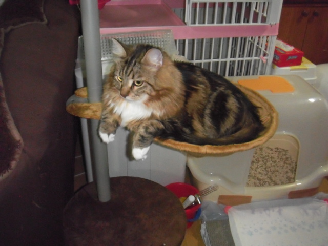2016_01260066.JPG