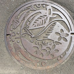 合宿１０余市マンホール.JPG