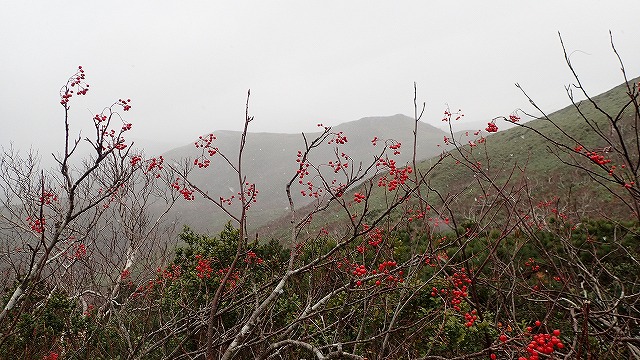 PA221547　11：40風と雪.jpg