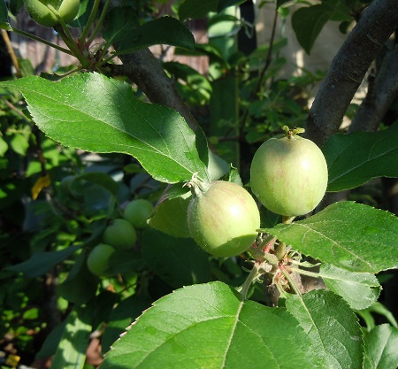 DSCN5285.JPG
