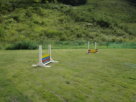 DSC06777.JPG