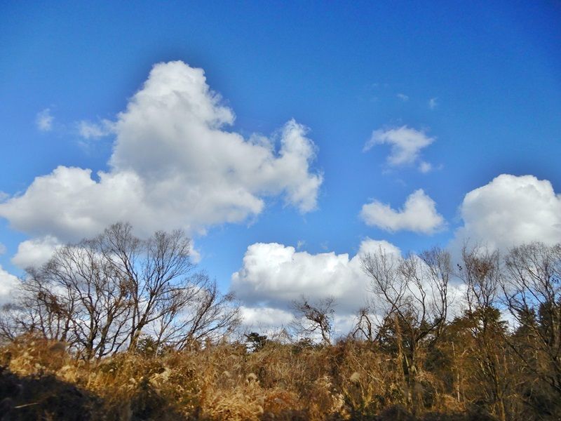 空2