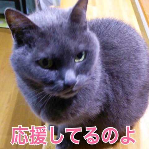image.jpg