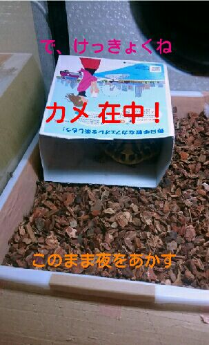 rblog-20151018093038-05.jpg