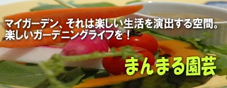 まんまる園芸