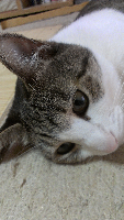 rblog-20130726130626-00.png