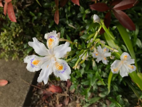 rblog-20190423182704-03.jpg