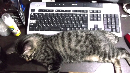 すずひめ　10月31日　１号机上.jpg