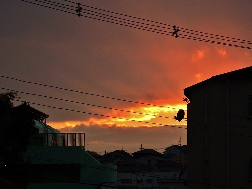 夕暮れ 2.JPG