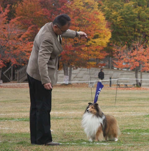 2012-11-11　JCC長野展.JPG