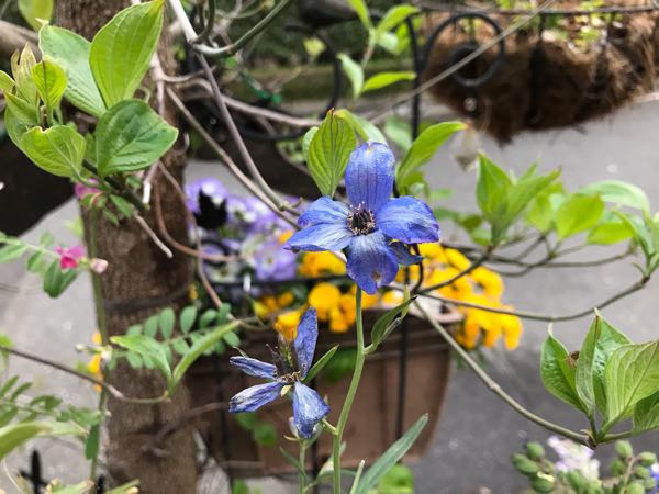 rblog-20190419193545-09.jpg