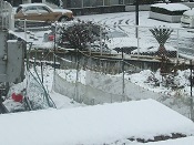2014年の雪