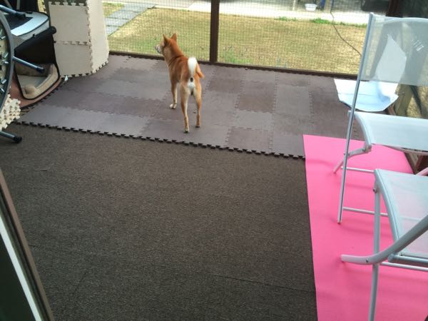 rblog-20151223115841-03.jpg