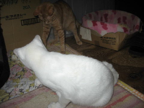158813.jpg