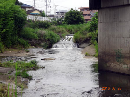 中野橋.jpg