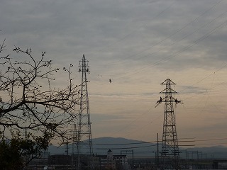 P1010829ss.jpg