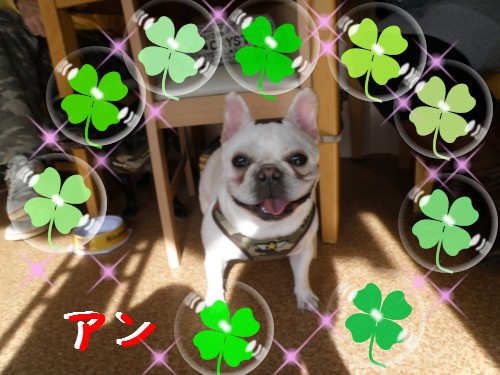 ｱﾝ.JPG