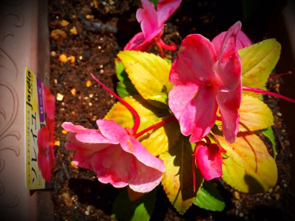 rblog-20150531144450-03.jpg