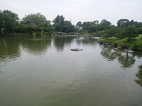 IMG_20160521_145842.jpg