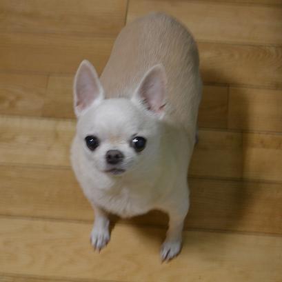 DSC_0205.JPG