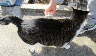 IMG_9484ss.jpg
