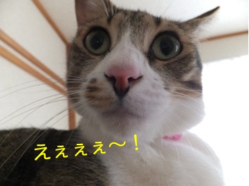 20121007_3.jpg