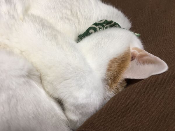 rblog-20180215062147-01.jpg