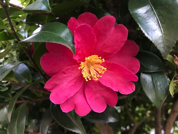 rblog-20170223222747-09.jpg