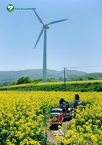 留萌菜の花200.jpg