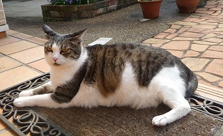 P1020059-ass.jpg