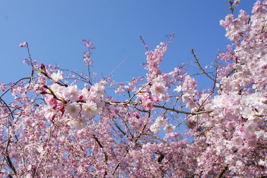 2014-0423-15.jpg