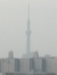 南米36.jpg