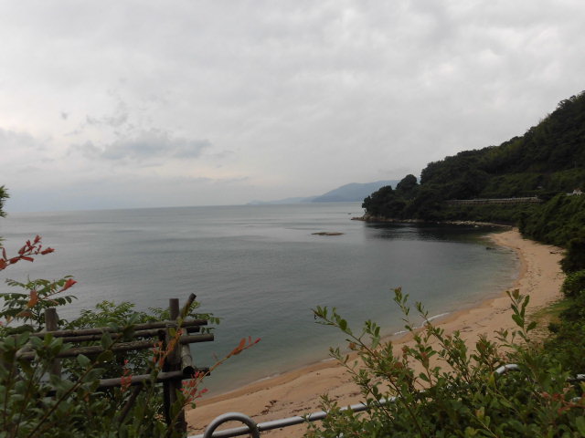 CIMG0289.JPG